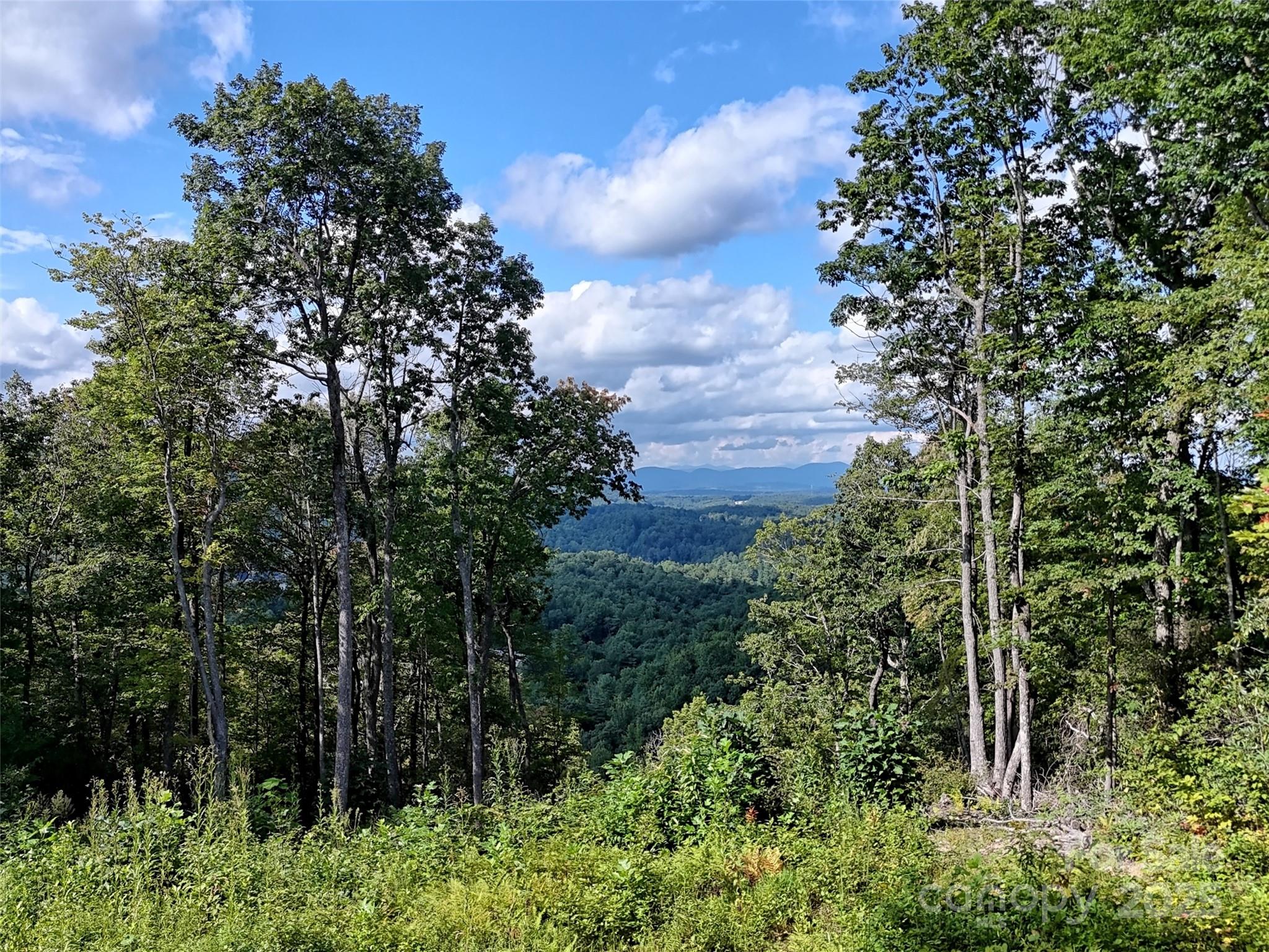 00 Bell Mountain Road Zirconia NC 28790