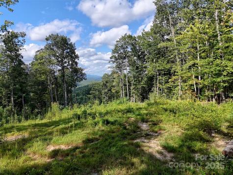 00 Bell Mountain Road Zirconia NC 28790