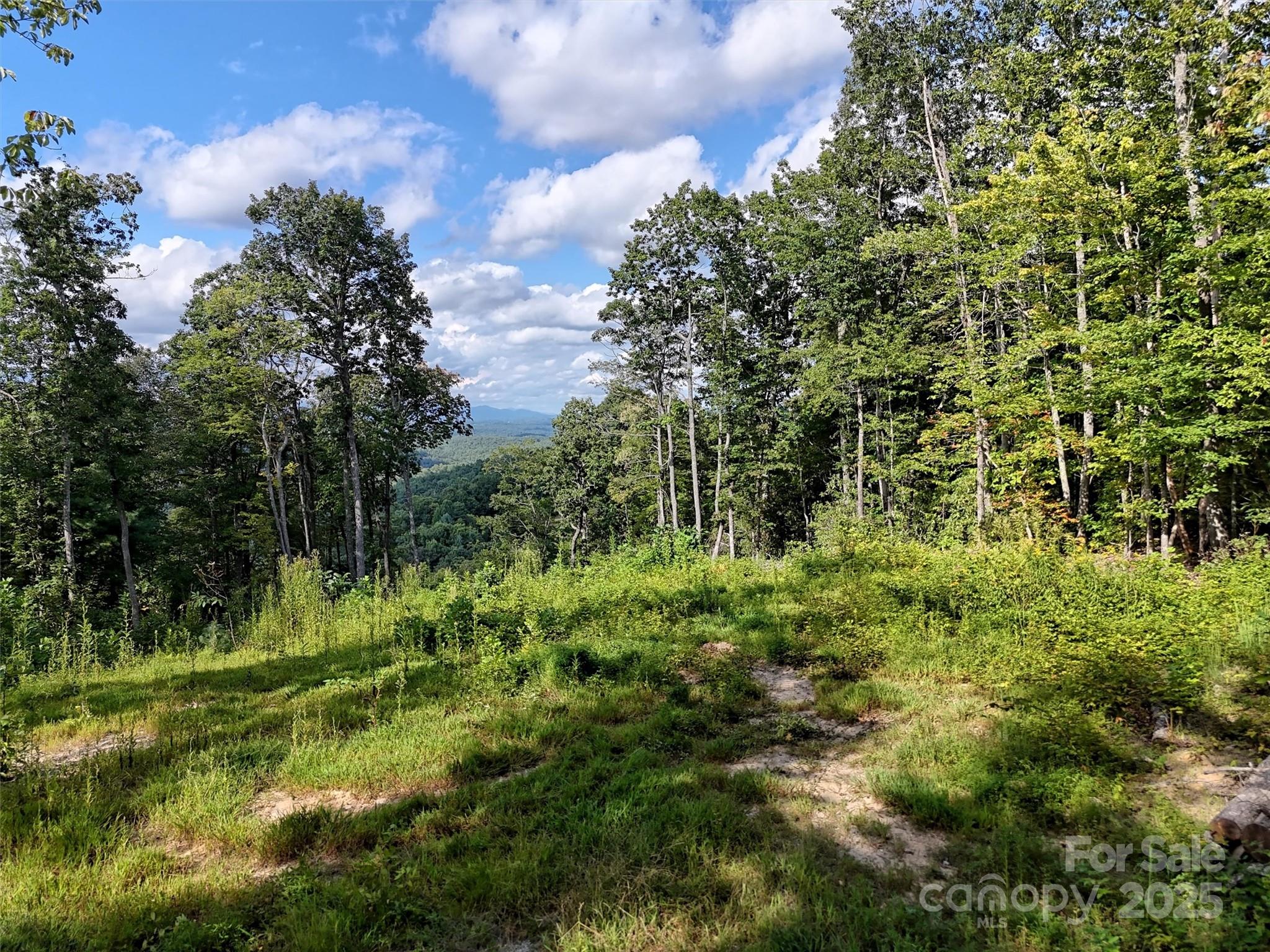 00 Bell Mountain Road Zirconia NC 28790