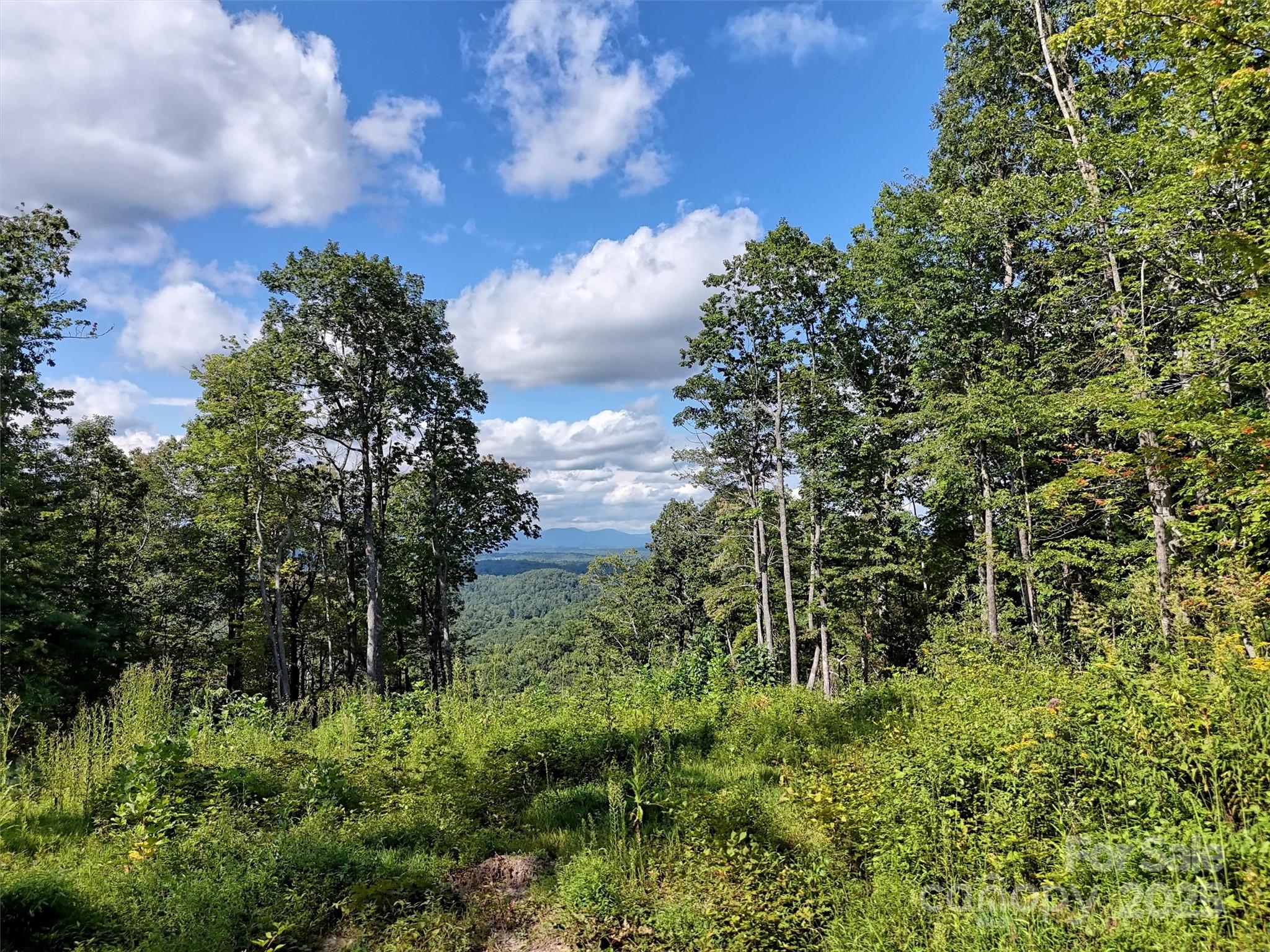 00 Bell Mountain Road Zirconia NC 28790