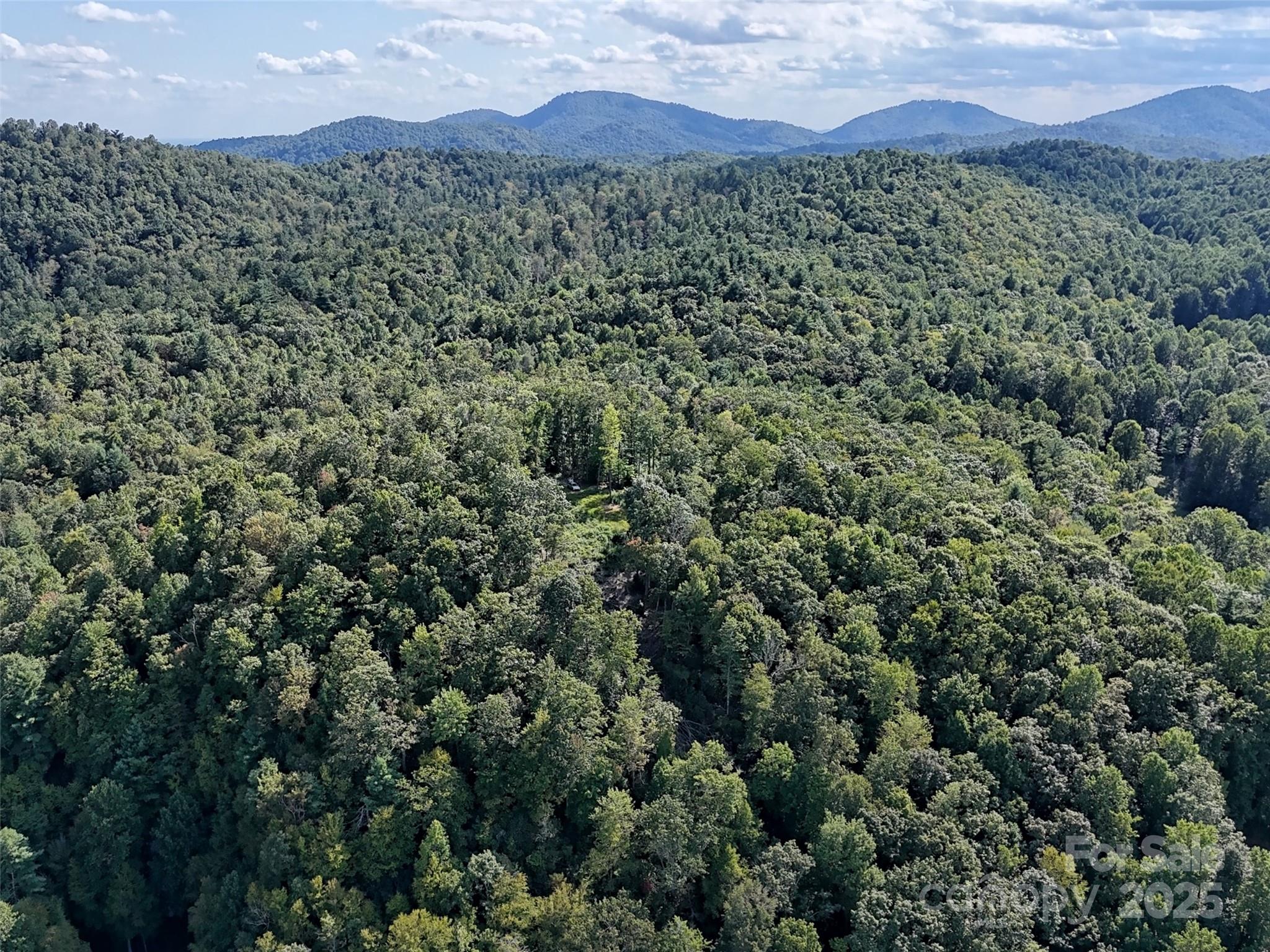 00 Bell Mountain Road Zirconia NC 28790