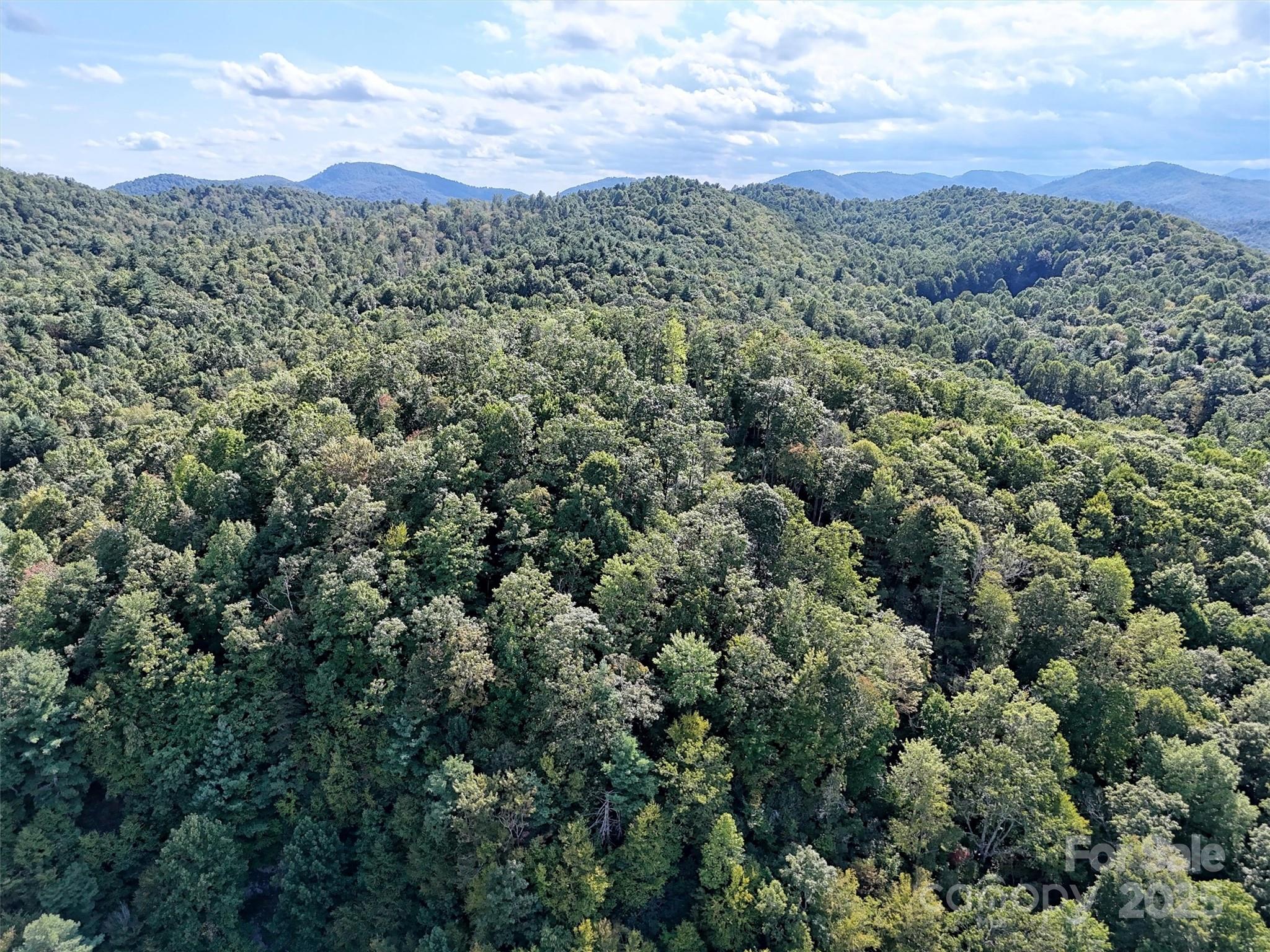 00 Bell Mountain Road Zirconia NC 28790