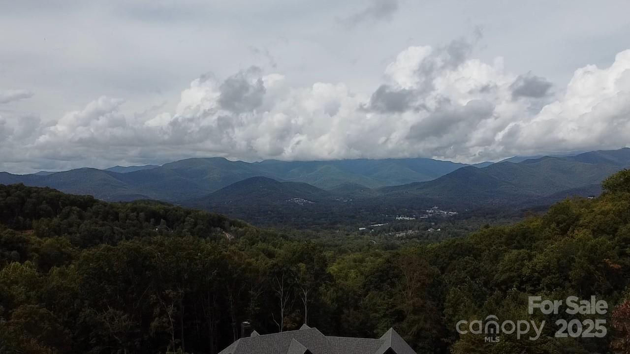 97 Settings Boulevard Black Mountain NC 28711