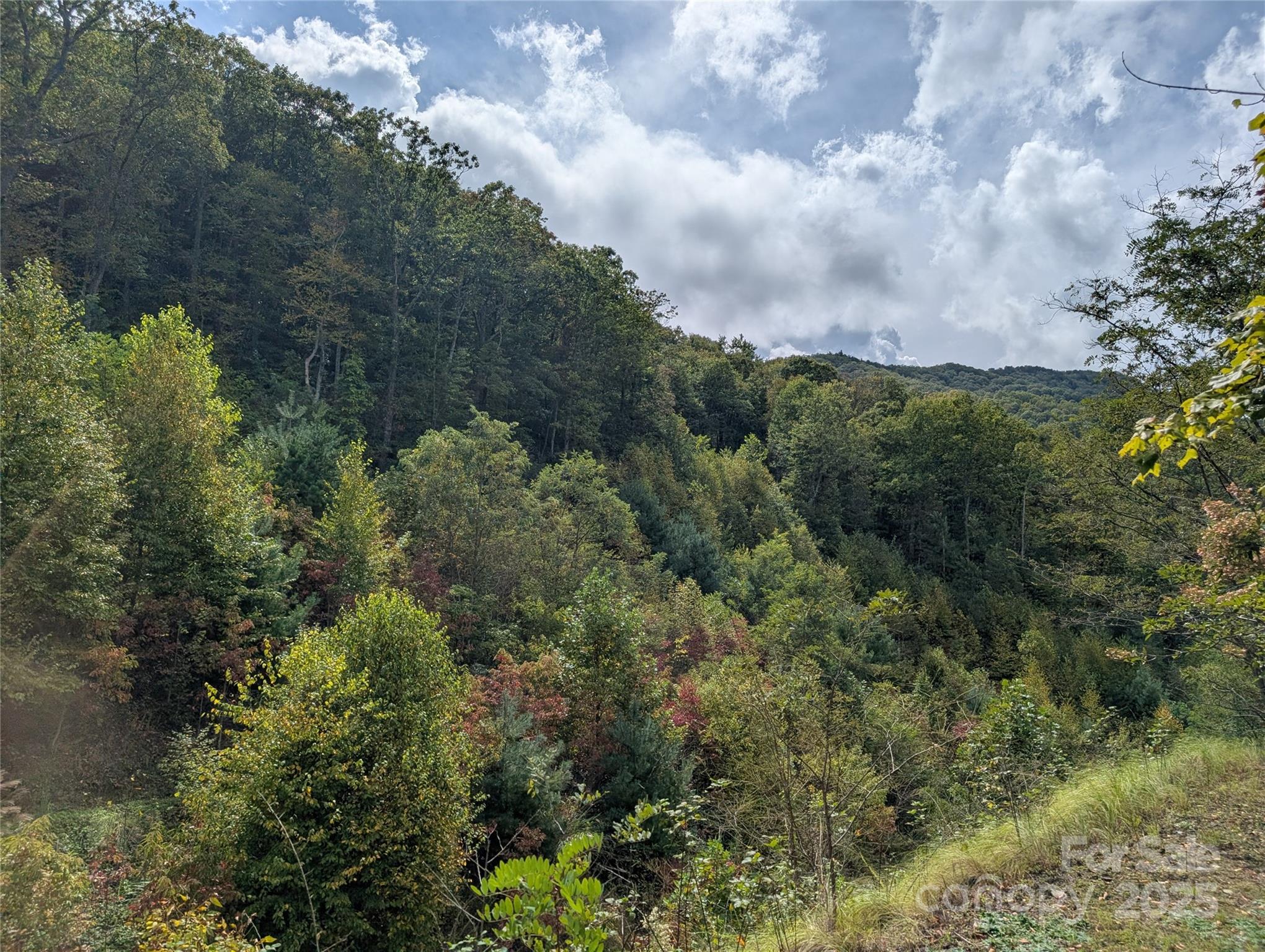 97 Settings Boulevard Black Mountain NC 28711