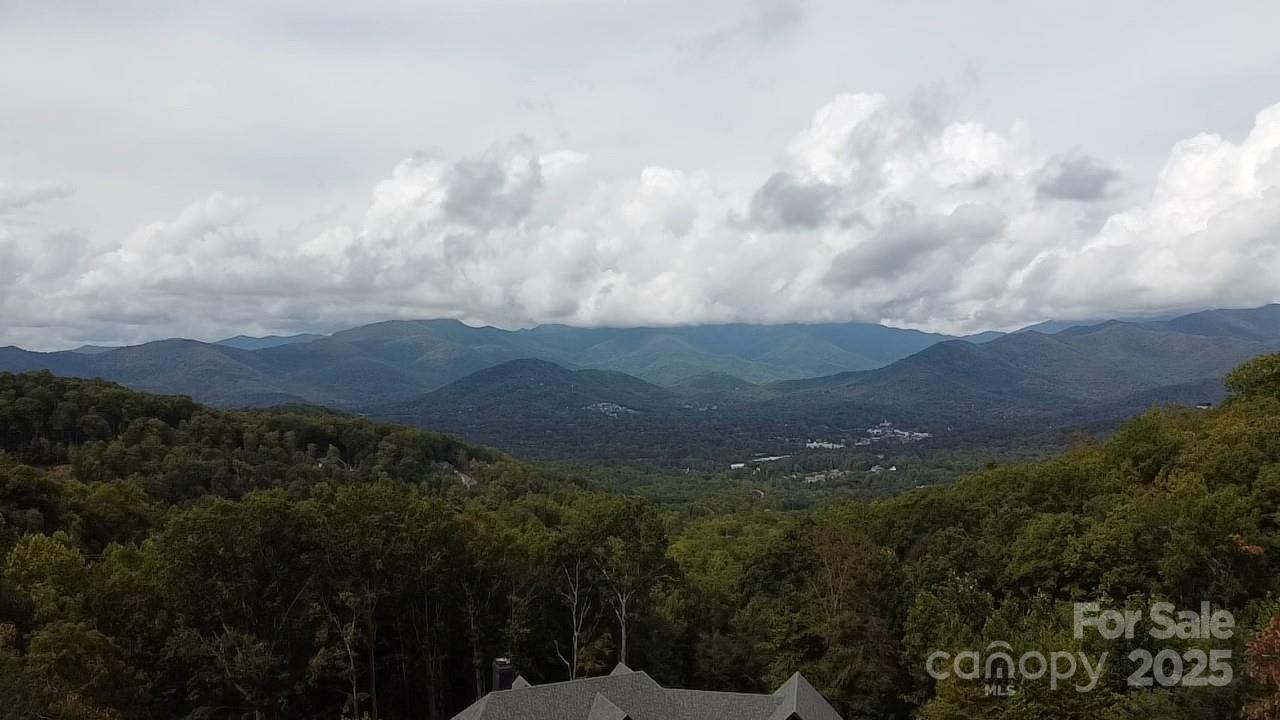 97 Settings Boulevard Black Mountain NC 28711