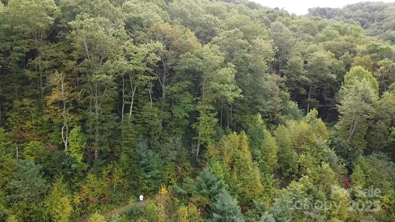 97 Settings Boulevard Black Mountain NC 28711
