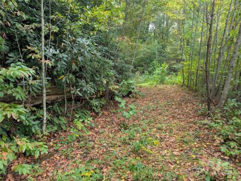 97 Settings Boulevard Black Mountain NC 28711