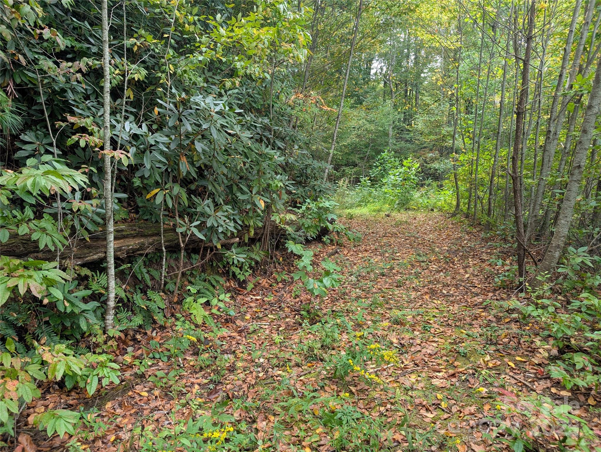 97 Settings Boulevard Black Mountain NC 28711