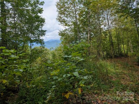 97 Settings Boulevard Black Mountain NC 28711