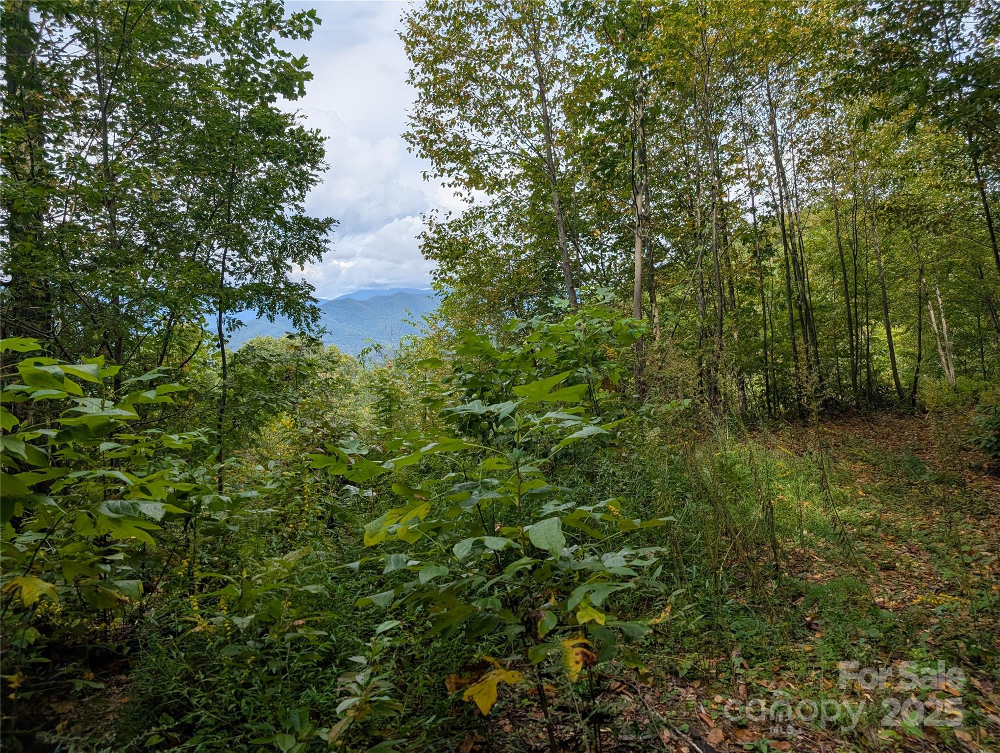 97 Settings Boulevard Black Mountain NC 28711