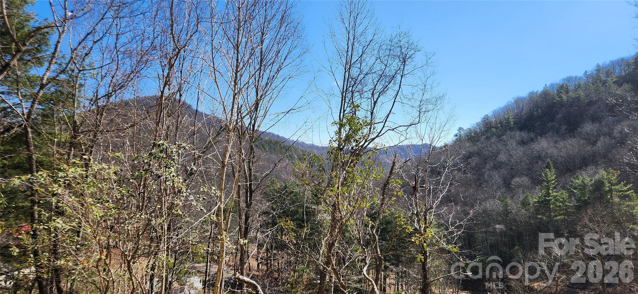 23 Craig Circle Fairview NC 28730