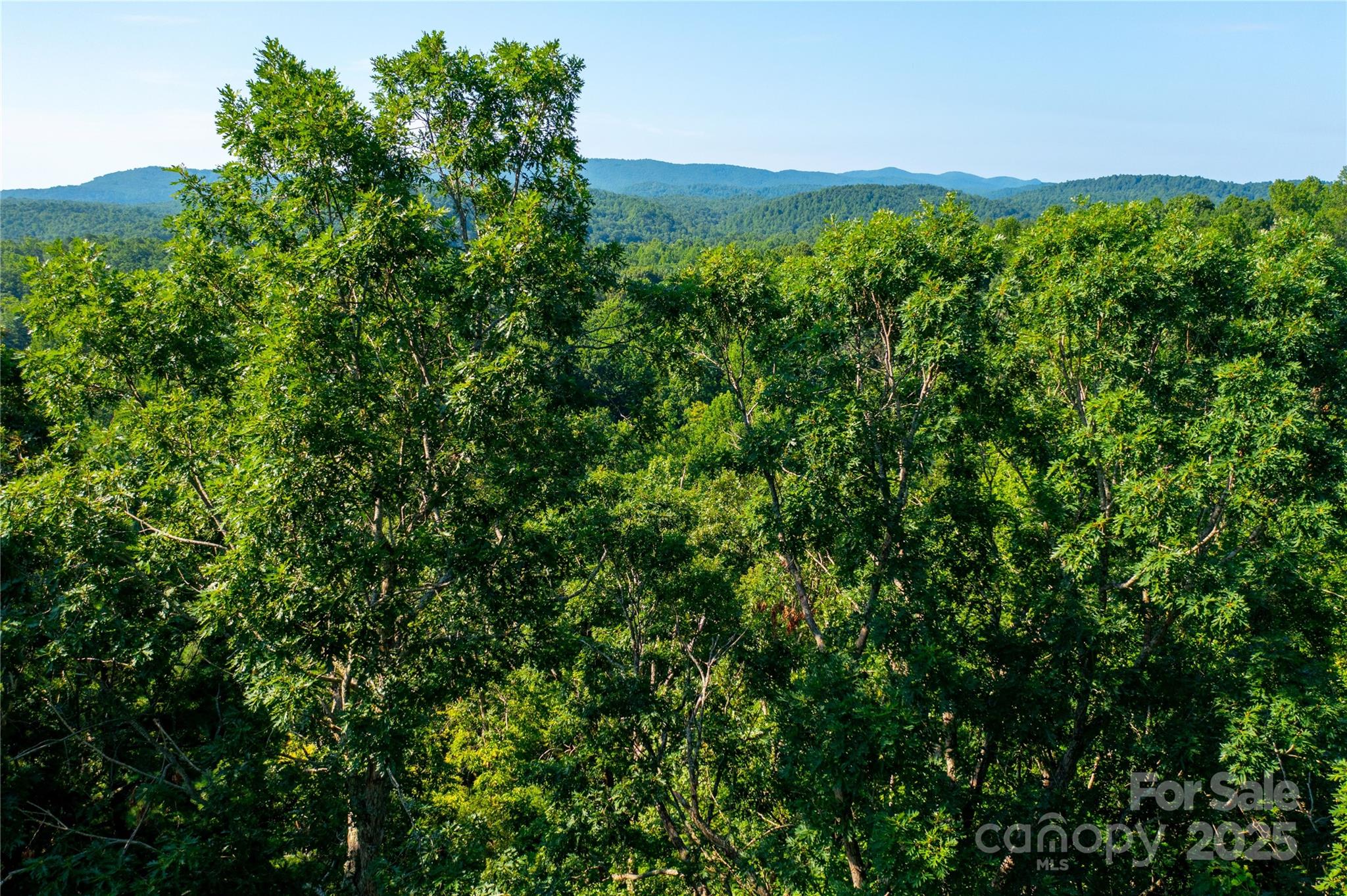 00 Glen Echo Circle Saluda NC 28773
