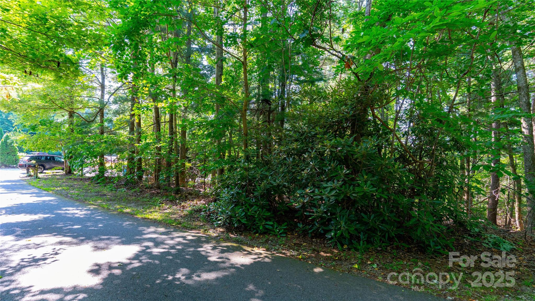 00 Glen Echo Circle Saluda NC 28773