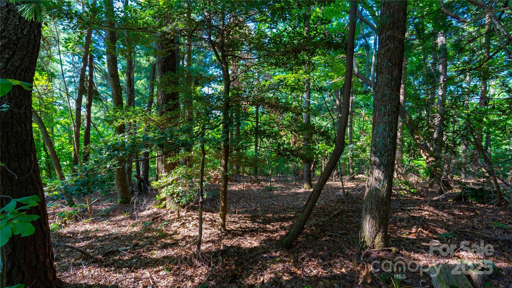 00 Glen Echo Circle Saluda NC 28773