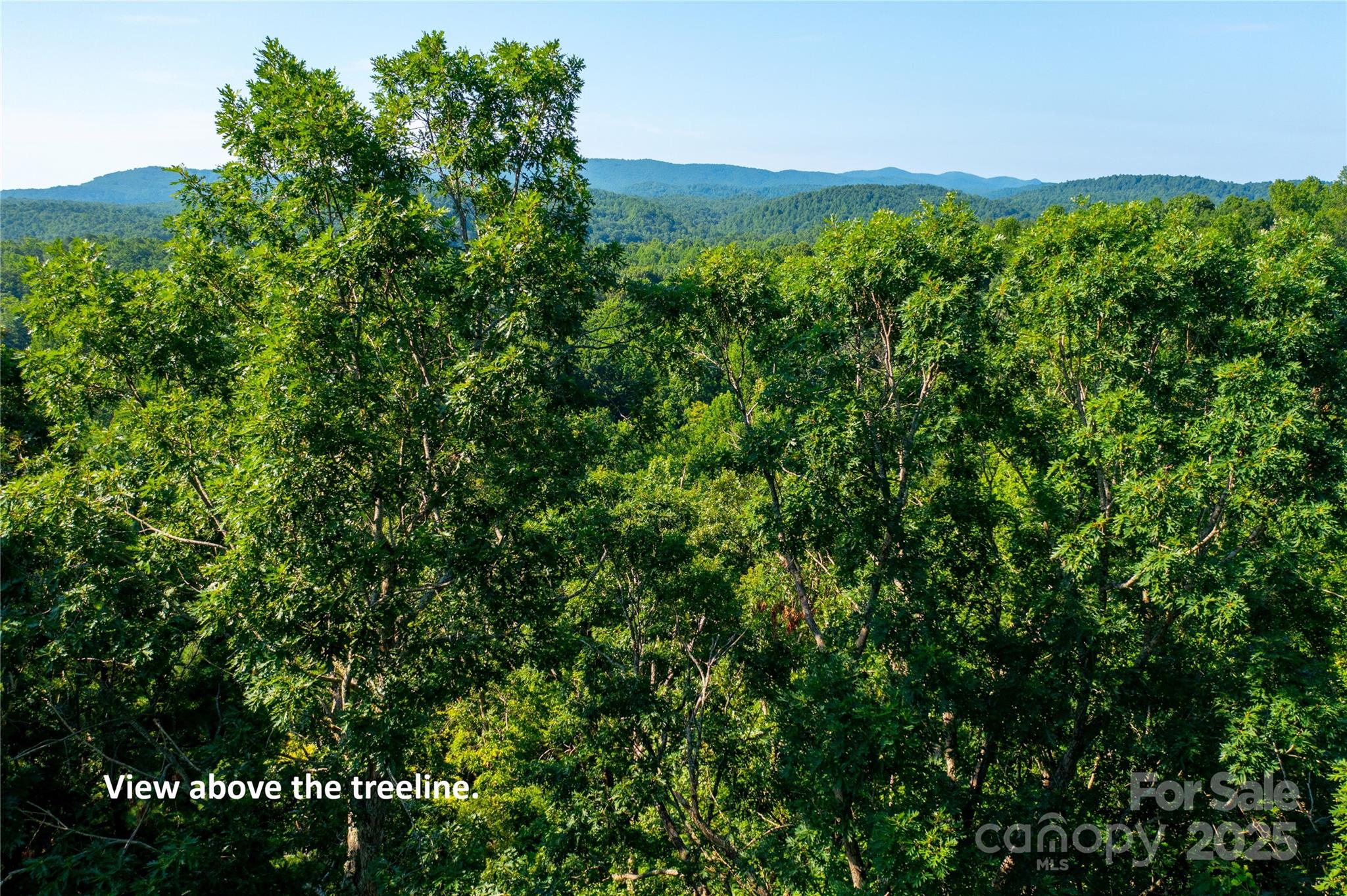 00 Glen Echo Circle Saluda NC 28773
