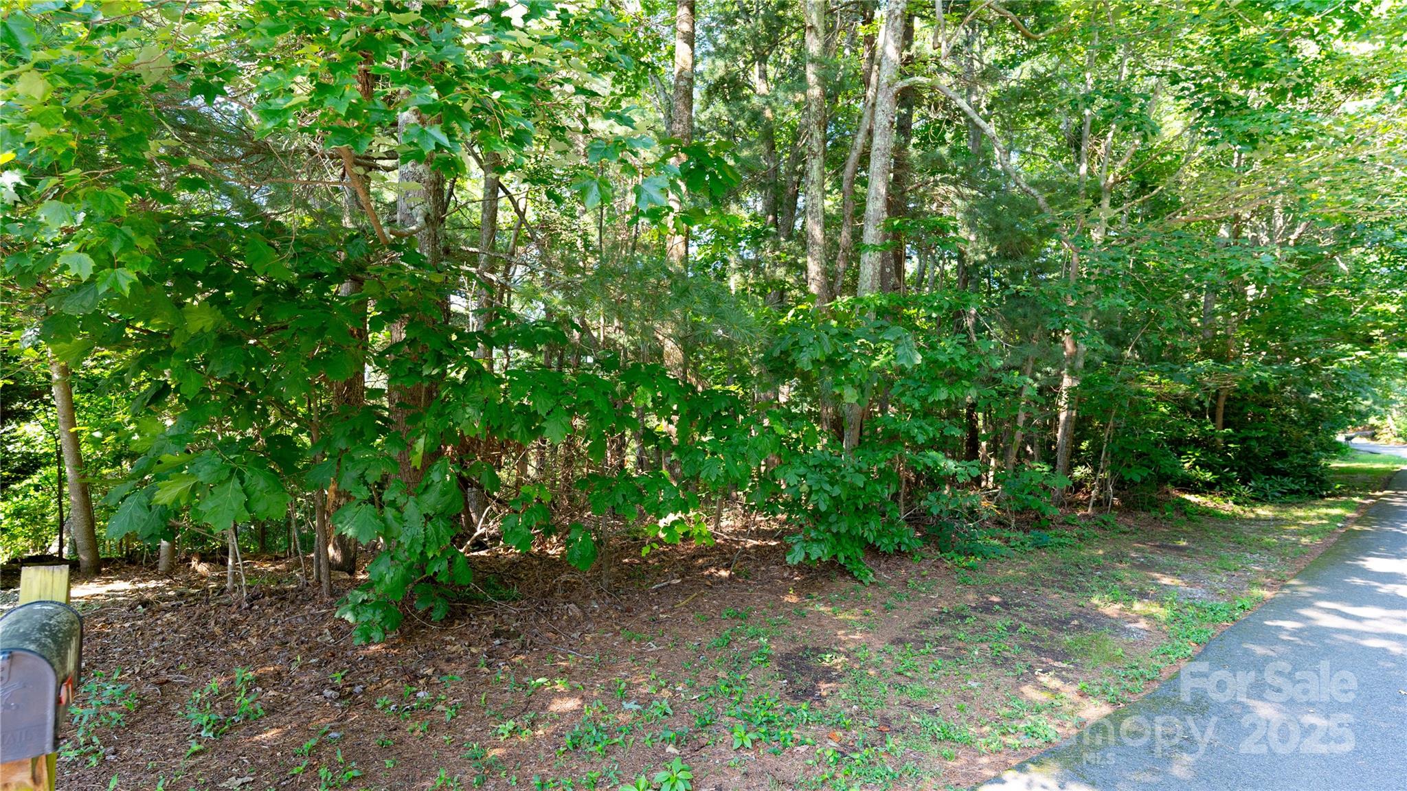 00 Glen Echo Circle Saluda NC 28773