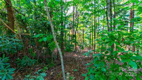 00 Glen Echo Circle Saluda NC 28773