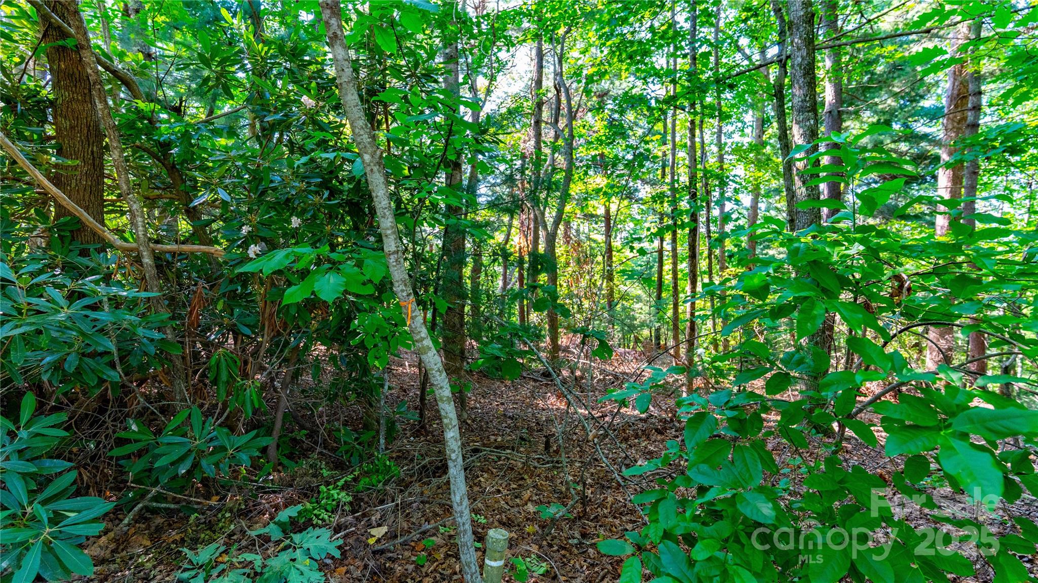 00 Glen Echo Circle Saluda NC 28773