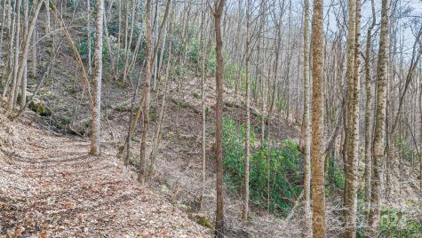 9999 One Feather Road Whittier NC 28789