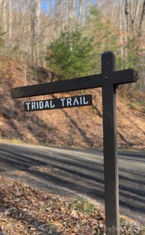 9999 One Feather Road Whittier NC 28789