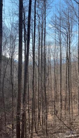 9999 One Feather Road Whittier NC 28789