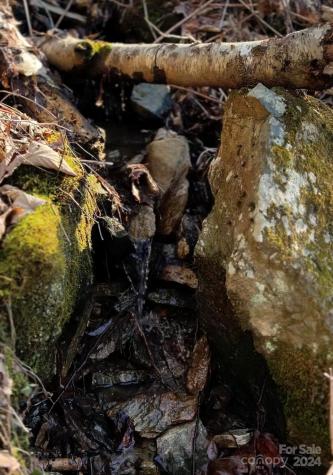 9999 One Feather Road Whittier NC 28789