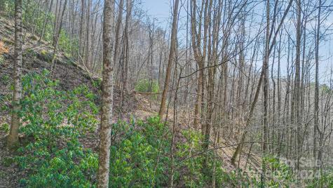 9999 One Feather Road Whittier NC 28789