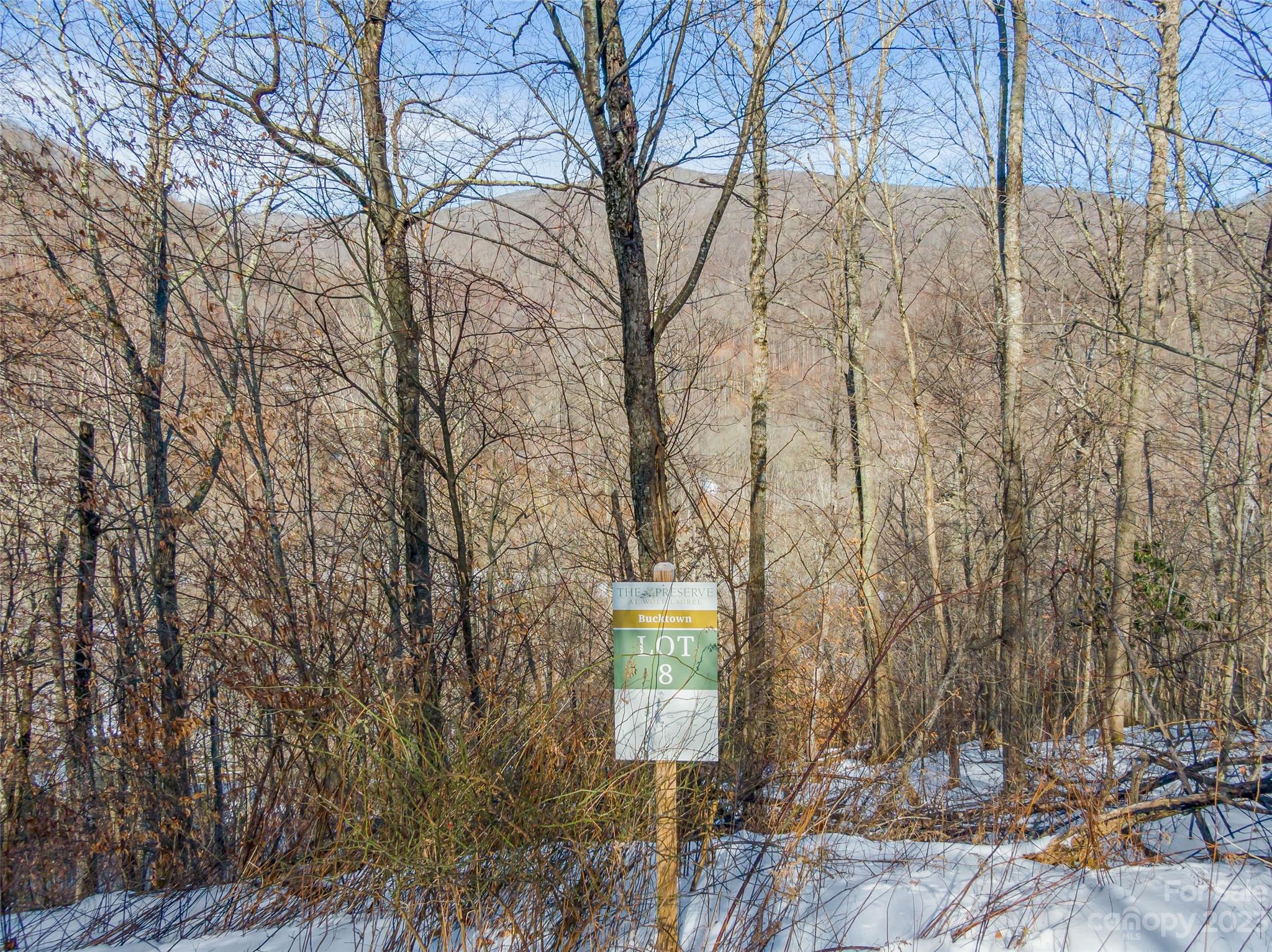 Lot 8 Settlement Way Mars Hill NC 28754