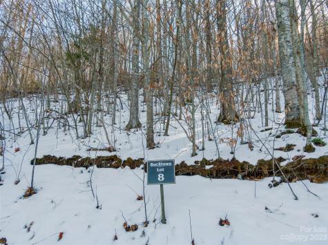 Lot 8 Settlement Way Mars Hill NC 28754