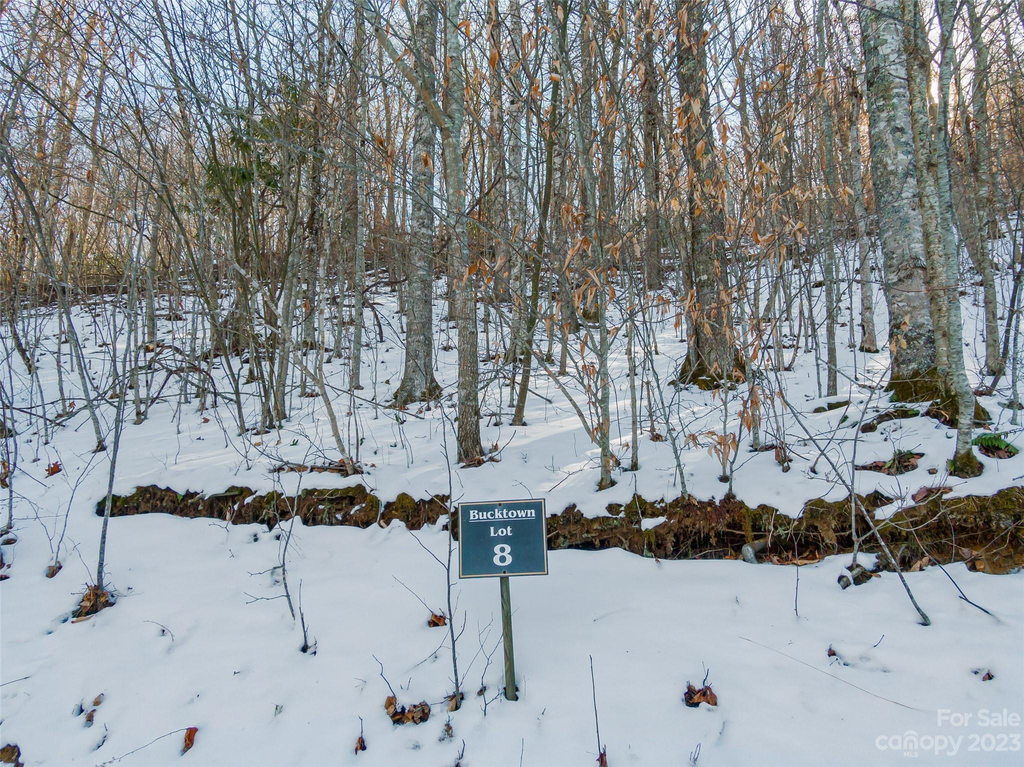 Lot 8 Settlement Way Mars Hill NC 28754