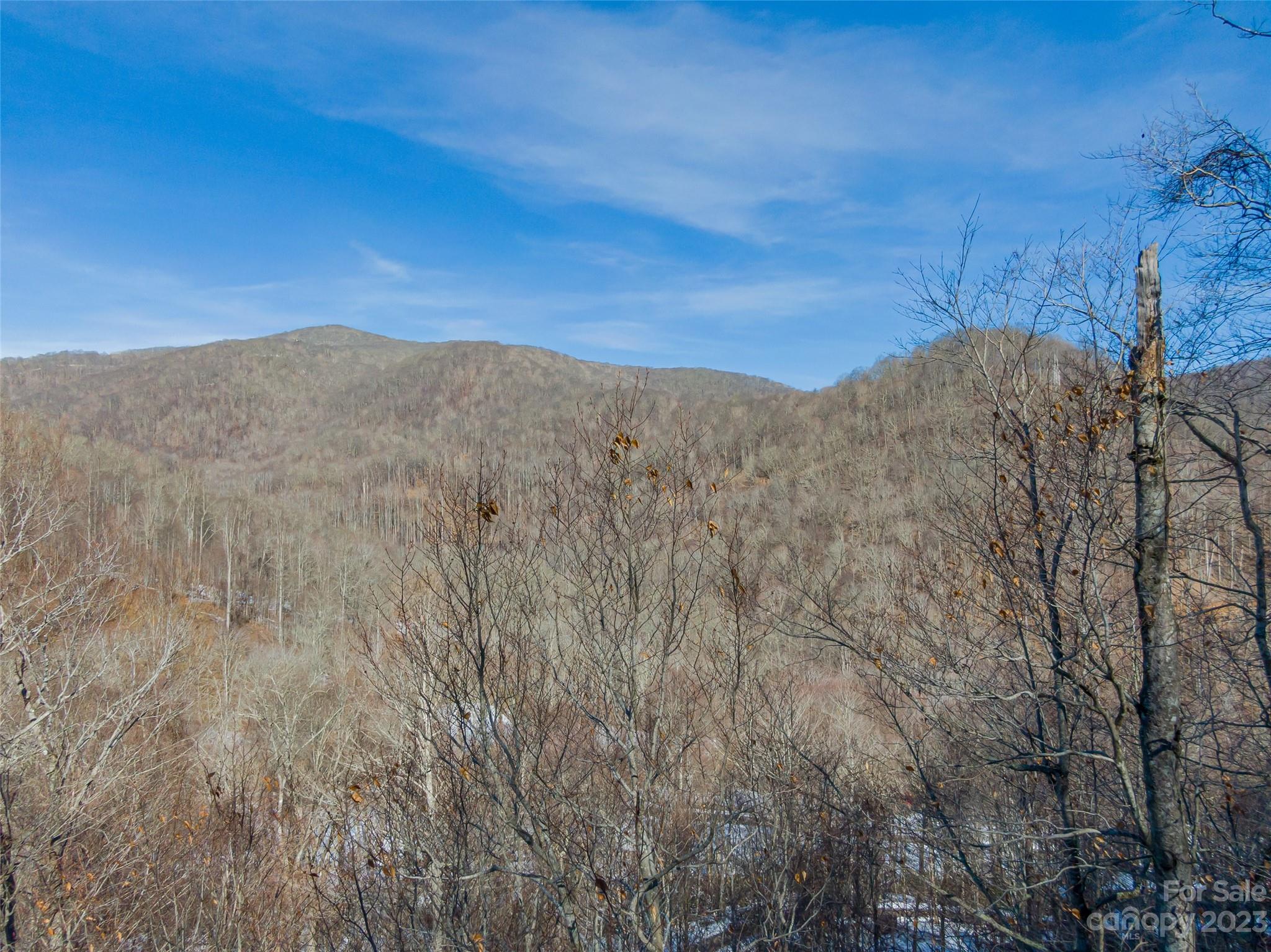 Lot 8 Settlement Way Mars Hill NC 28754