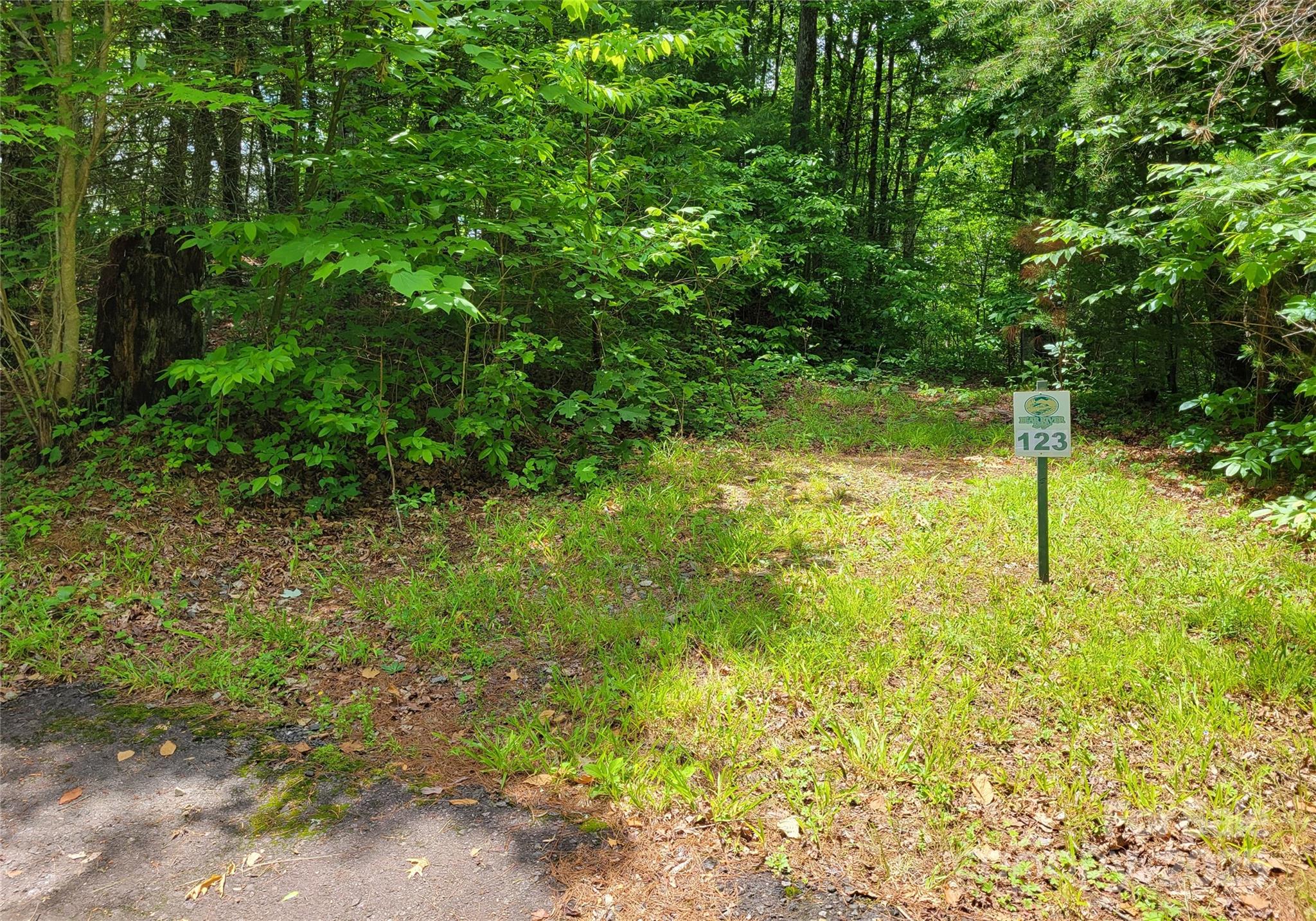 Tbd Bear River Lodge Road Marshall NC 28753