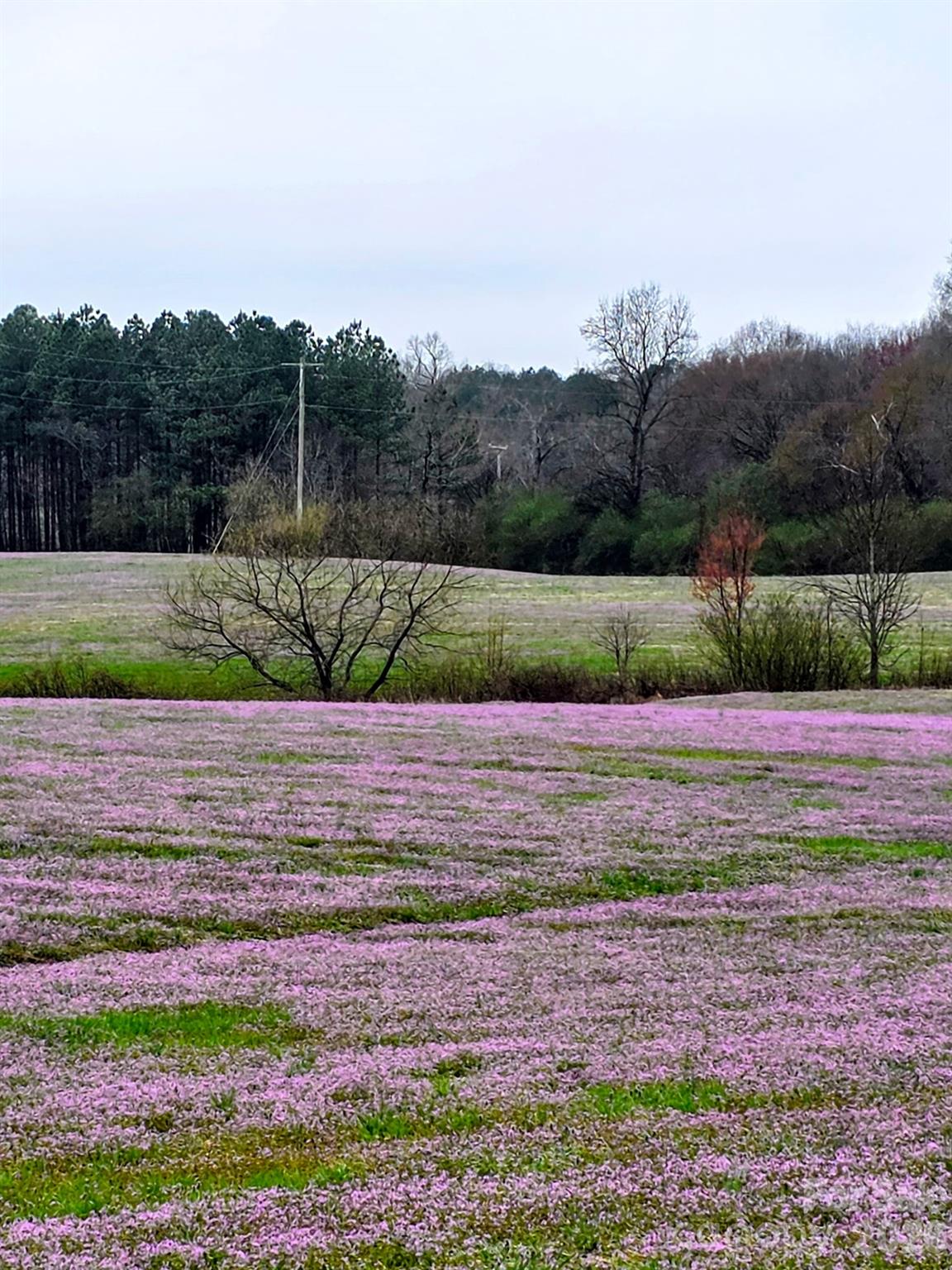 0 Nc 138 Highway Albemarle NC 28001