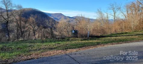 38 Rons Ridge Waynesville NC 28785