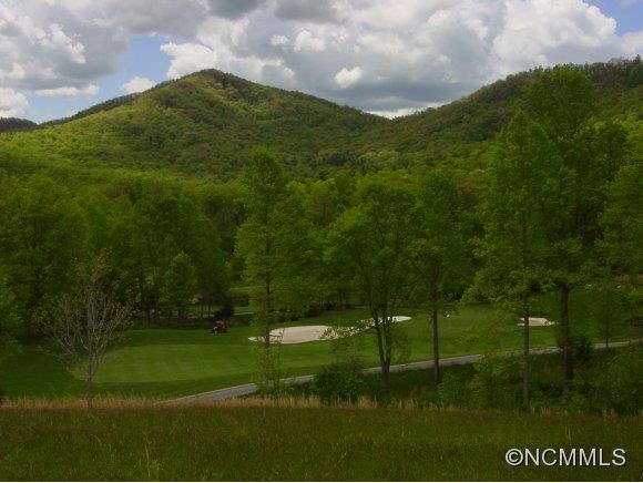 34 Rain Lily Trail Arden NC 28704