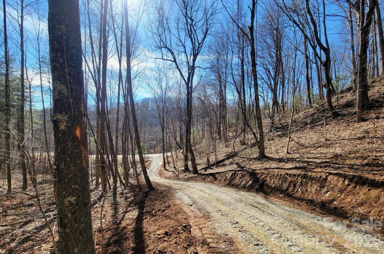 2166 Cove Creek Road Waynesville NC 28785