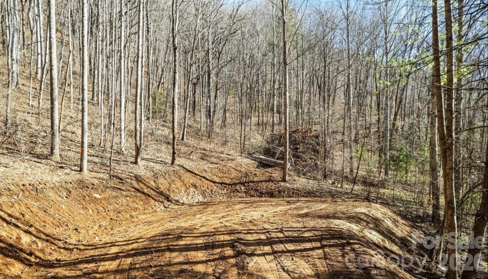 2166 Cove Creek Road Waynesville NC 28785