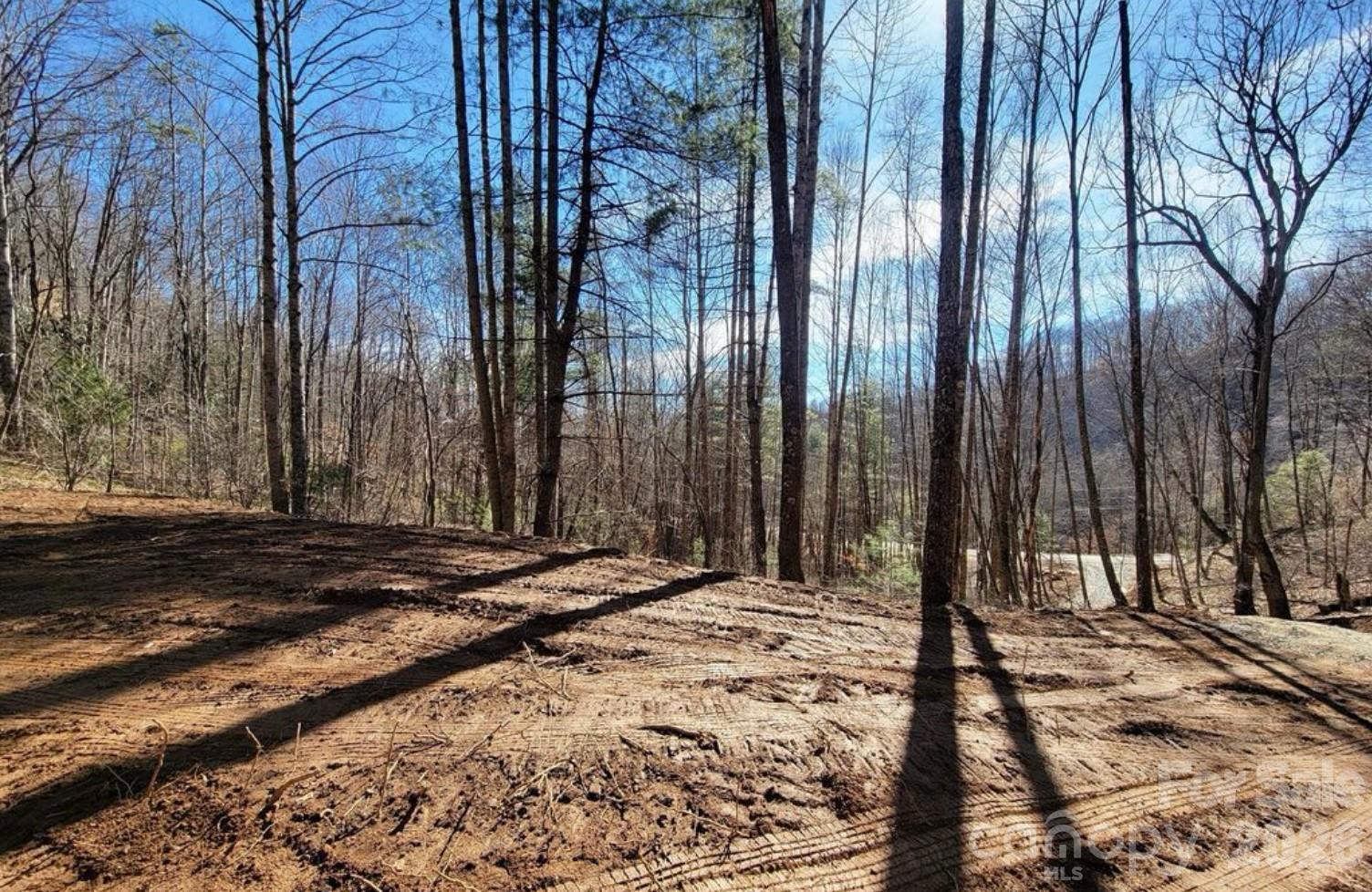 2166 Cove Creek Road Waynesville NC 28785