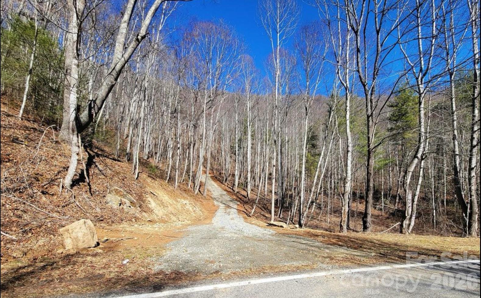 2166 Cove Creek Road Waynesville NC 28785