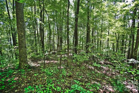 2166 Cove Creek Road Waynesville NC 28785