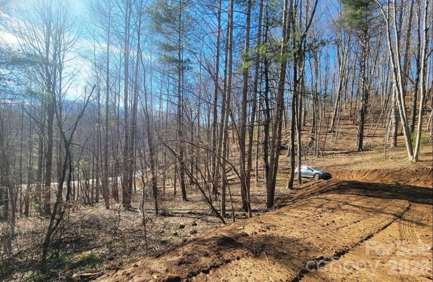 2166 Cove Creek Road Waynesville NC 28785