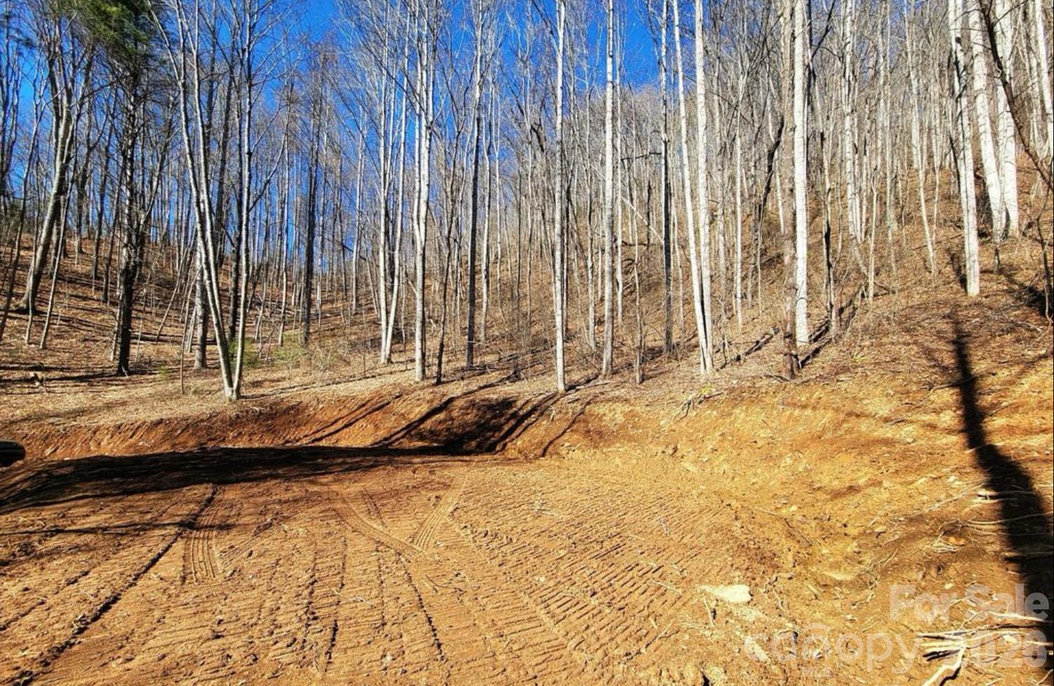 2166 Cove Creek Road Waynesville NC 28785