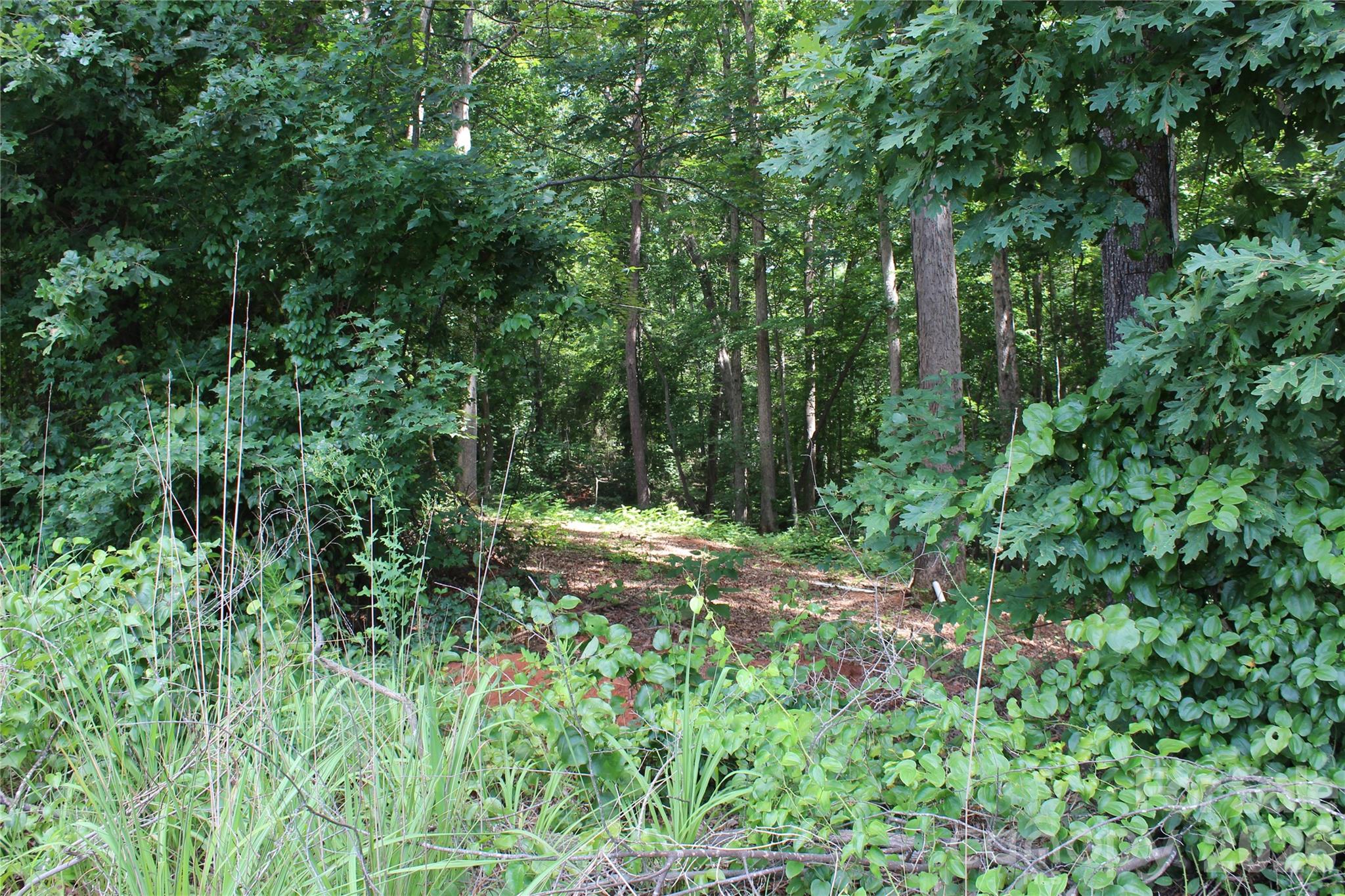 7220 Little Mountain Road Sherrills Ford NC 28673