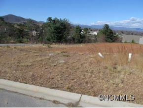 24 Climbing Aster Way Asheville NC 28806