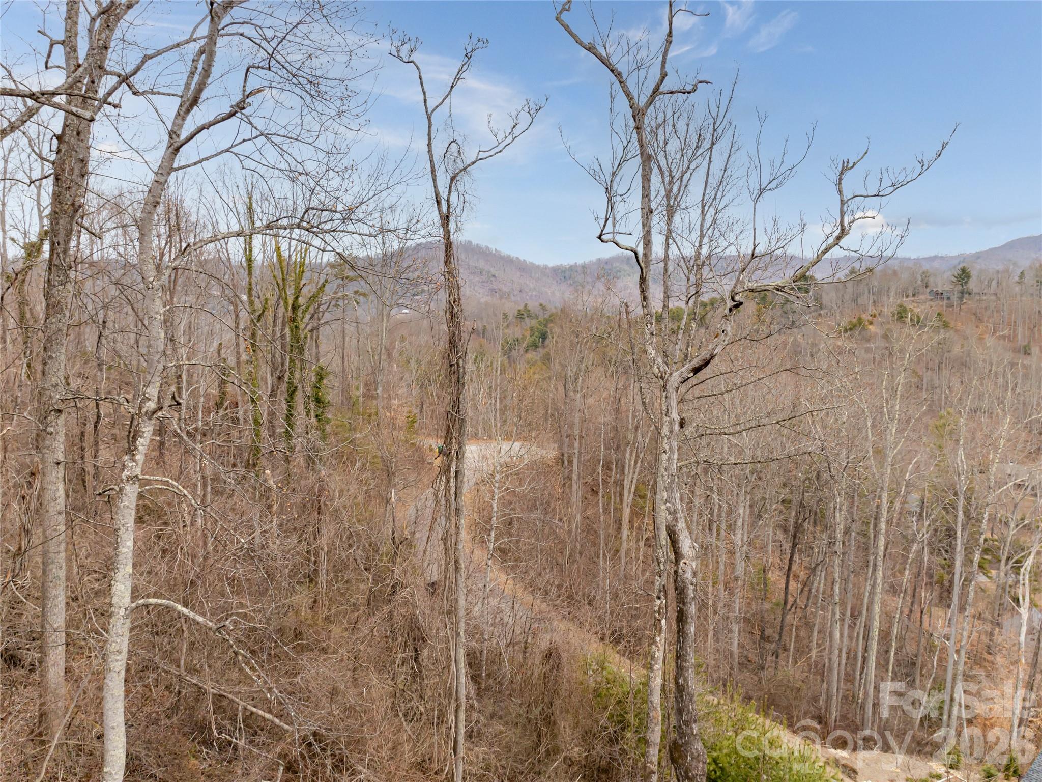 74 Longspur Lane Asheville NC 28804