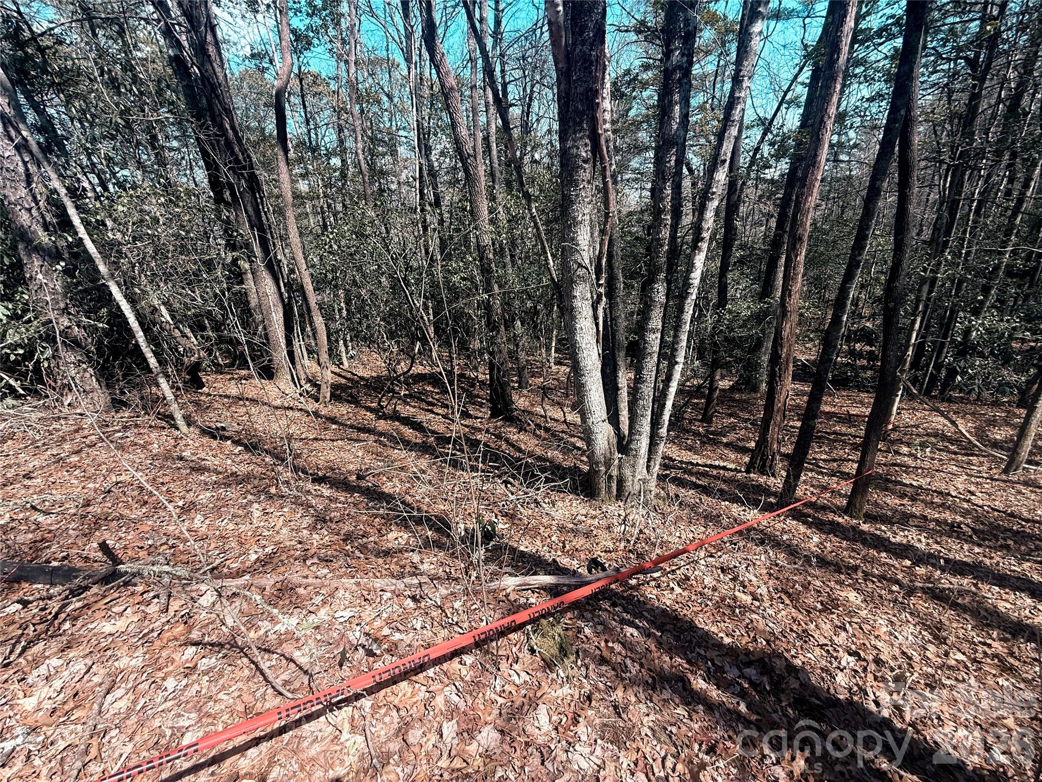 Tbd Minerva Lane Sapphire NC 28774