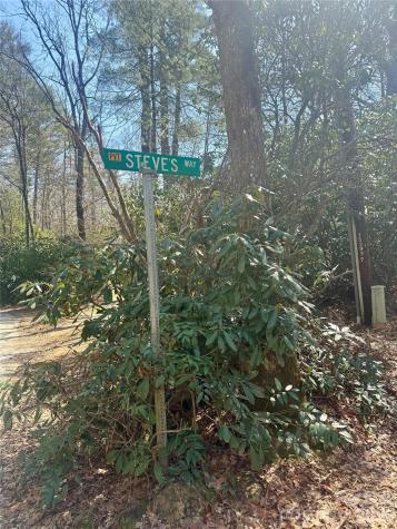 Tbd Minerva Lane Sapphire NC 28774