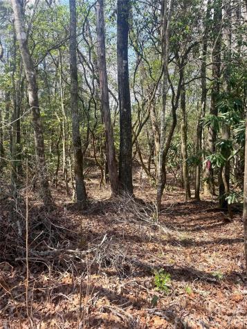 Tbd Minerva Lane Sapphire NC 28774