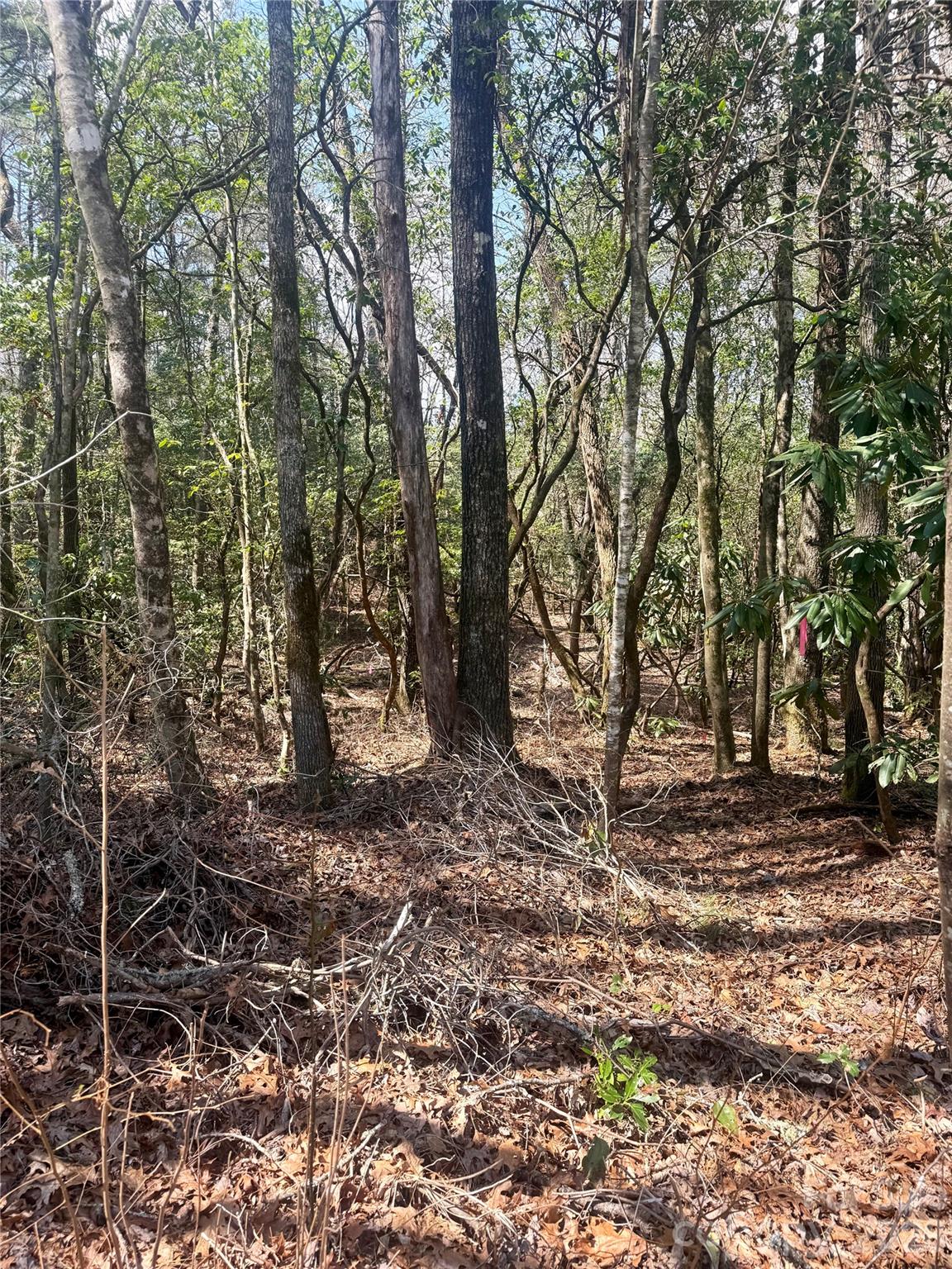 Tbd Minerva Lane Sapphire NC 28774