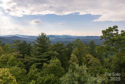 Lot # 1 Masterpiece View Drive Hendersonville NC 28739